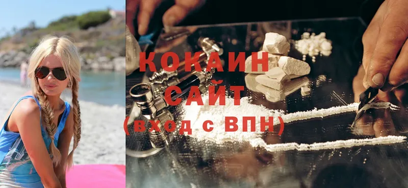 COCAIN Fish Scale  Дмитриев 